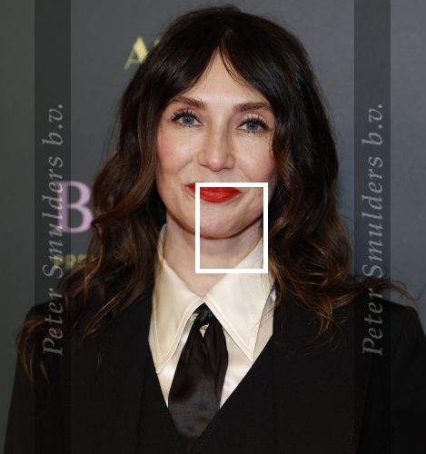 Amsterdam 25 november 2024
Premiere Babygirl in Tuschinski . Halina Reijn is de producente. carice v Houten