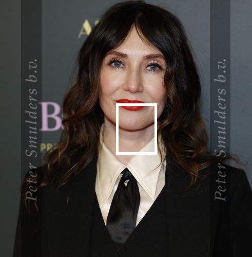 Amsterdam 25 november 2024
Premiere Babygirl in Tuschinski . Halina Reijn is de producente. carice v Houten