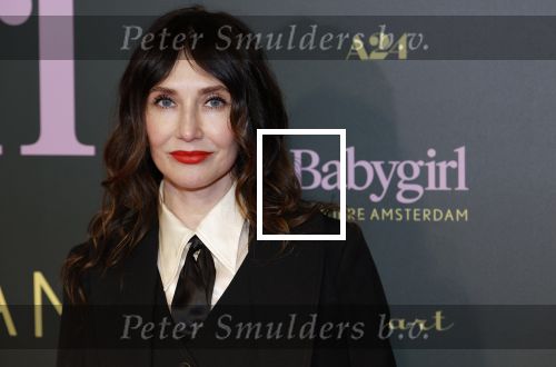 Amsterdam 25 november 2024
Premiere Babygirl in Tuschinski . Halina Reijn is de producente. carice v Houten