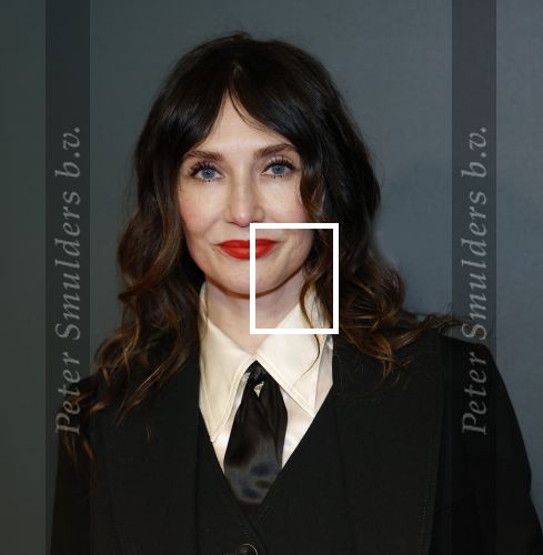 Amsterdam 25 november 2024
Premiere Babygirl in Tuschinski . Halina Reijn is de producente. carice v Houten