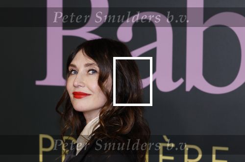Amsterdam 25 november 2024
Premiere Babygirl in Tuschinski . Halina Reijn is de producente. carice v Houten