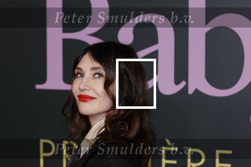 Amsterdam 25 november 2024
Premiere Babygirl in Tuschinski . Halina Reijn is de producente. carice v Houten