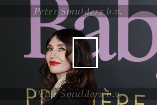 Amsterdam 25 november 2024
Premiere Babygirl in Tuschinski . Halina Reijn is de producente. carice v Houten