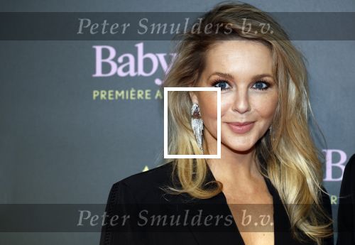 Amsterdam 25 november 2024
Premiere Babygirl in Tuschinski . Halina Reijn is de producente. Chantal Janzen en Tina de Bruin