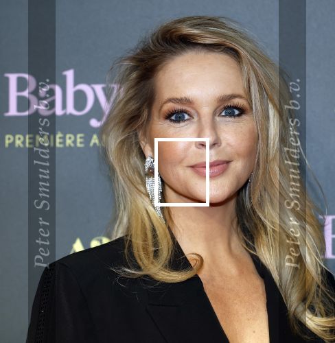 Amsterdam 25 november 2024
Premiere Babygirl in Tuschinski . Halina Reijn is de producente. Chantal Janzen en Tina de Bruin