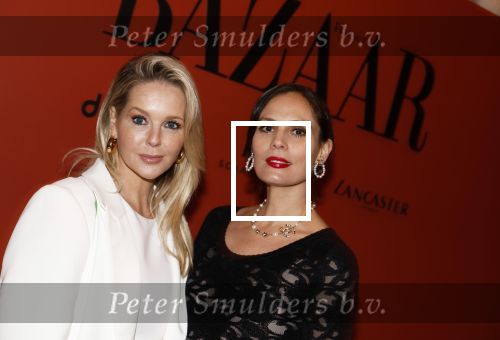 Amsterdam 5 november 2024
Feestje Harpers Bazaar in hotel l\