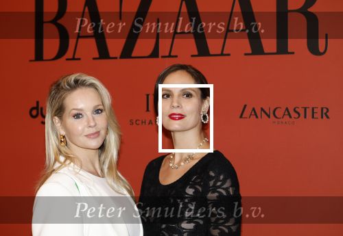 Amsterdam 5 november 2024
Feestje Harpers Bazaar in hotel l\