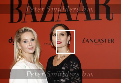 Amsterdam 5 november 2024
Feestje Harpers Bazaar in hotel l\