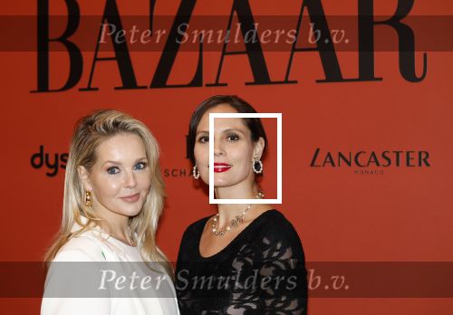 Amsterdam 5 november 2024
Feestje Harpers Bazaar in hotel l\