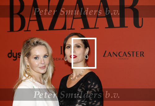 Amsterdam 5 november 2024
Feestje Harpers Bazaar in hotel l\