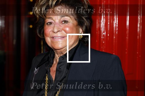 Amsterdam 12 november 2024
Boekpresentatie Estelle Cruijff in restaurant Bisous . Christine Kroonenberg
