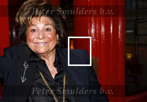 Amsterdam 12 november 2024
Boekpresentatie Estelle Cruijff in restaurant Bisous . Christine Kroonenberg