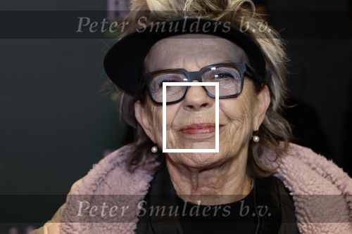 Amsterdam 25 november 2024
Premiere Babygirl in Tuschinski . Halina Reijn is de producente. Connie Palmen