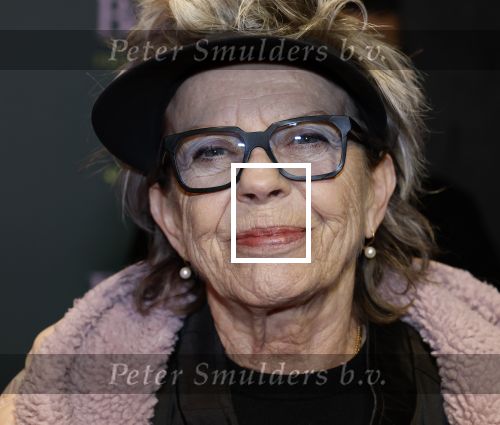 Amsterdam 25 november 2024
Premiere Babygirl in Tuschinski . Halina Reijn is de producente. Connie Palmen