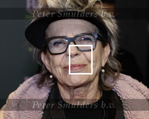 Amsterdam 25 november 2024
Premiere Babygirl in Tuschinski . Halina Reijn is de producente. Connie Palmen