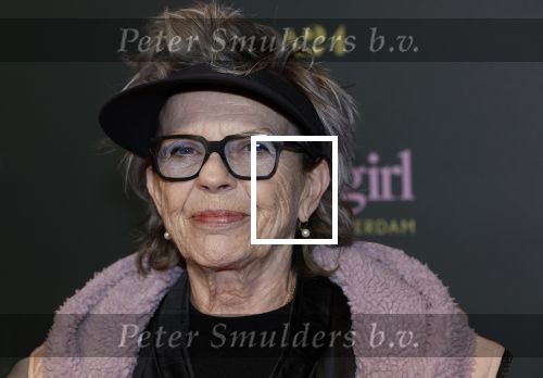 Amsterdam 25 november 2024
Premiere Babygirl in Tuschinski . Halina Reijn is de producente. Connie Palmen