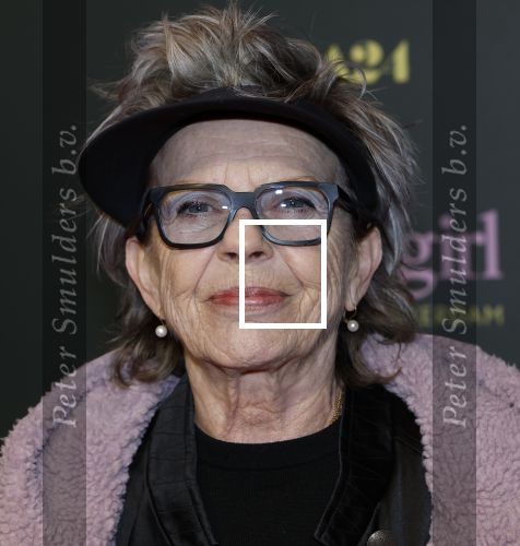 Amsterdam 25 november 2024
Premiere Babygirl in Tuschinski . Halina Reijn is de producente. Connie Palmen