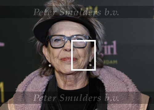 Amsterdam 25 november 2024
Premiere Babygirl in Tuschinski . Halina Reijn is de producente. Connie Palmen