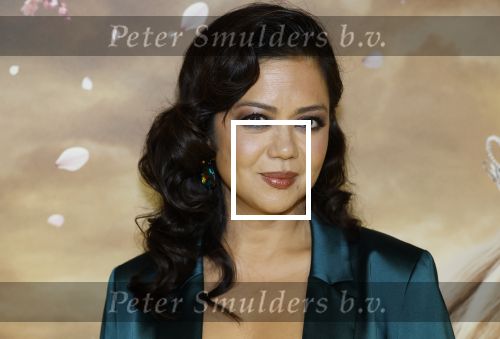 Amsterdam 3 december 2024
Premiere Wicked in Tuschinski. Cystine Carreon