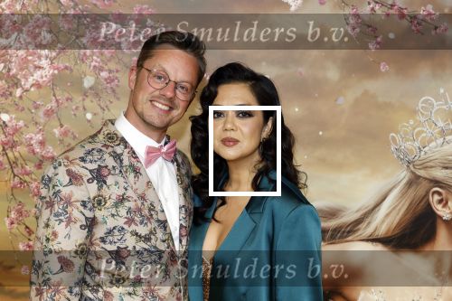 Amsterdam 3 december 2024
Premiere Wicked in Tuschinski. Cystine Carreon met ...