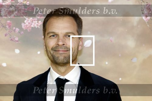 Amsterdam 3 december 2024
Premiere Wicked in Tuschinski. Daan Nieber