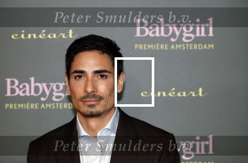 Amsterdam 25 november 2024
Premiere Babygirl in Tuschinski . Halina Reijn is de producente. Daniel de Ridder