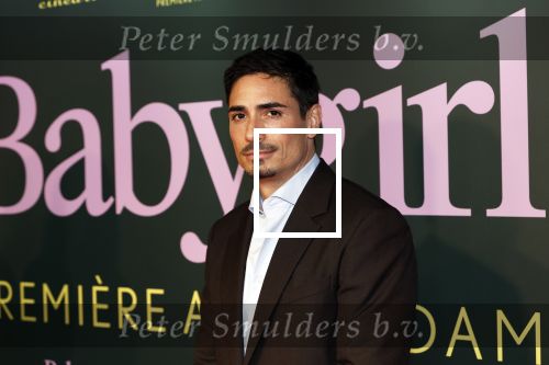 Amsterdam 25 november 2024
Premiere Babygirl in Tuschinski . Halina Reijn is de producente. Daniel de Ridder