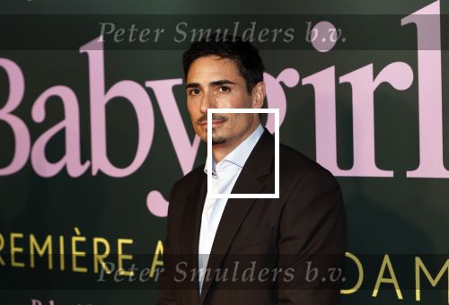 Amsterdam 25 november 2024
Premiere Babygirl in Tuschinski . Halina Reijn is de producente. Daniel de Ridder