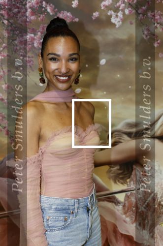 Amsterdam 3 december 2024
Premiere Wicked in Tuschinski. Danique Graanoogst