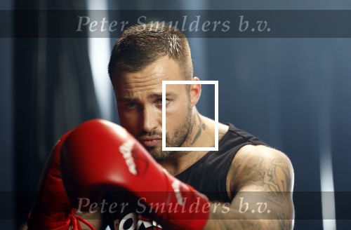 Hoofddorp 25 november 2024
Training Boxing influencers met oa Dave Roelvink Bravo Mark Schaaf  Geraldo Holzken Niek Holzken Roy  Meyer Goudtje Oussama Ahammoud Boer Ayoub en Sem v Dijk . Monica Geuze en Kaj Gorgels presenteren het .
