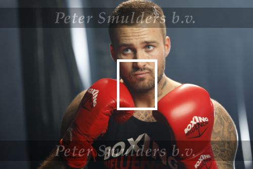 Hoofddorp 25 november 2024
Training Boxing influencers met oa Dave Roelvink Bravo Mark Schaaf  Geraldo Holzken Niek Holzken Roy  Meyer Goudtje Oussama Ahammoud Boer Ayoub en Sem v Dijk . Monica Geuze en Kaj Gorgels presenteren het .