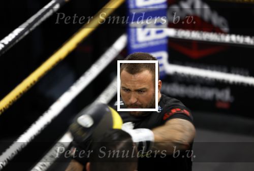 Hoofddorp 25 november 2024
Training Boxing influencers met oa Dave Roelvink Bravo Mark Schaaf  Geraldo Holzken Niek Holzken Roy  Meyer Goudtje Oussama Ahammoud Boer Ayoub en Sem v Dijk . Monica Geuze en Kaj Gorgels presenteren het .