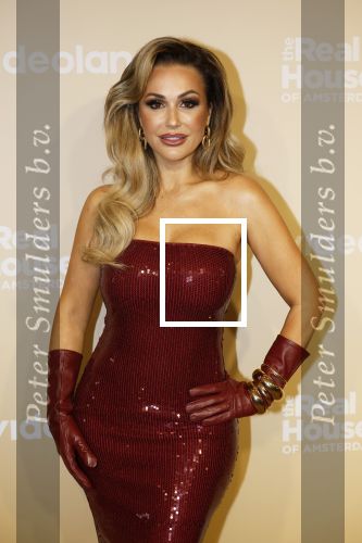 Amsterdam 25 november 2024
Presentatie nieuwe seizoen real housewives of Amsterdam in het Amstel hotel  met oa Maria Tailor Tamara Elbaz Kimmylien nguyen Cherry Ann Person Angela v d Brink Djamila Celina en Deborah Luijendijk.