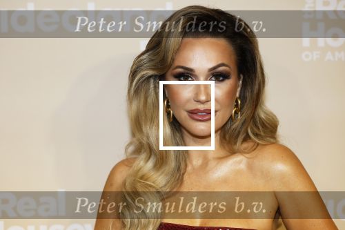 Amsterdam 25 november 2024
Presentatie nieuwe seizoen real housewives of Amsterdam in het Amstel hotel  met oa Maria Tailor Tamara Elbaz Kimmylien nguyen Cherry Ann Person Angela v d Brink Djamila Celina en Deborah Luijendijk.