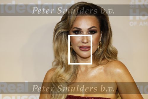 Amsterdam 25 november 2024
Presentatie nieuwe seizoen real housewives of Amsterdam in het Amstel hotel  met oa Maria Tailor Tamara Elbaz Kimmylien nguyen Cherry Ann Person Angela v d Brink Djamila Celina en Deborah Luijendijk.