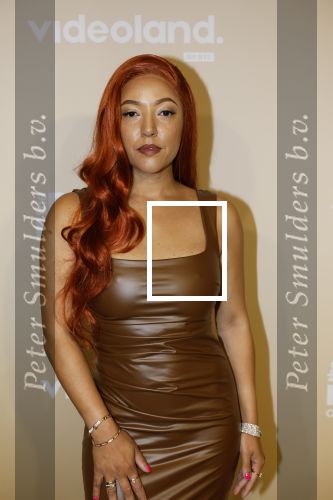 Amsterdam 25 november 2024
Presentatie nieuwe seizoen real housewives of Amsterdam in het Amstel hotel  met oa Maria Tailor Tamara Elbaz Kimmylien nguyen Cherry Ann Person Angela v d Brink Djamila Celina en Deborah Luijendijk.