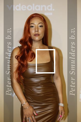 Amsterdam 25 november 2024
Presentatie nieuwe seizoen real housewives of Amsterdam in het Amstel hotel  met oa Maria Tailor Tamara Elbaz Kimmylien nguyen Cherry Ann Person Angela v d Brink Djamila Celina en Deborah Luijendijk.