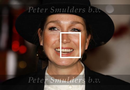 Amsterdam 5 november 2024
Presentatie cast Santa Claus is comeing to town in het ziggo dome . Aanwezige cast Willemijn Verkaik Dominique v Hulst (Zangeres Do) Noortje Herlaar Buddy Vedder en Frank Lammers als kerstman .