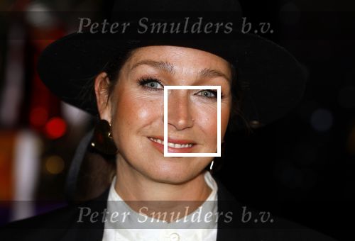 Amsterdam 5 november 2024
Presentatie cast Santa Claus is comeing to town in het ziggo dome . Aanwezige cast Willemijn Verkaik Dominique v Hulst (Zangeres Do) Noortje Herlaar Buddy Vedder en Frank Lammers als kerstman .