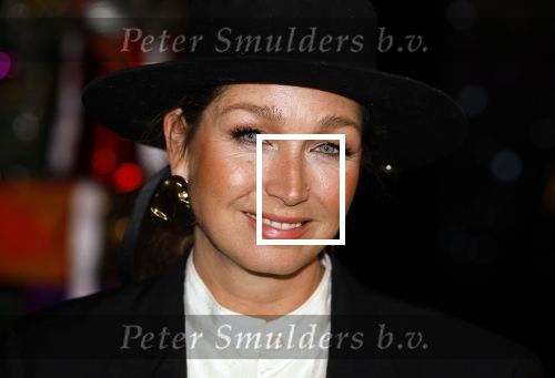 Amsterdam 5 november 2024
Presentatie cast Santa Claus is comeing to town in het ziggo dome . Aanwezige cast Willemijn Verkaik Dominique v Hulst (Zangeres Do) Noortje Herlaar Buddy Vedder en Frank Lammers als kerstman .
