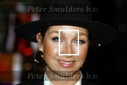 Amsterdam 5 november 2024
Presentatie cast Santa Claus is comeing to town in het ziggo dome . Aanwezige cast Willemijn Verkaik Dominique v Hulst (Zangeres Do) Noortje Herlaar Buddy Vedder en Frank Lammers als kerstman .