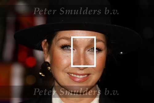 Amsterdam 5 november 2024
Presentatie cast Santa Claus is comeing to town in het ziggo dome . Aanwezige cast Willemijn Verkaik Dominique v Hulst (Zangeres Do) Noortje Herlaar Buddy Vedder en Frank Lammers als kerstman .
