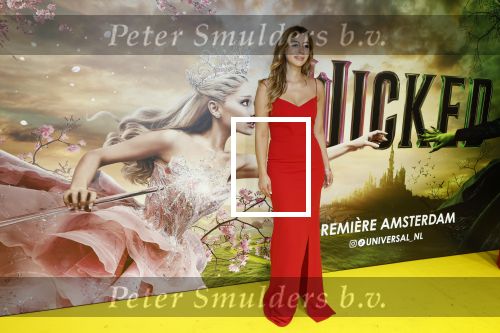 Amsterdam 3 december 2024
Premiere Wicked in Tuschinski. Dolshe Gulsen