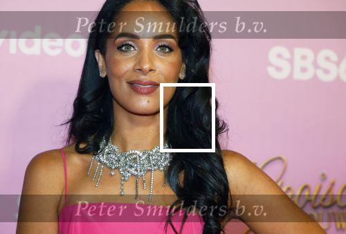 Amsterdam 22 oktober 2024
Premiere Gooische vrouwen in het DeLaMar theater. Dyantha Brooks en Bart Ettekoven