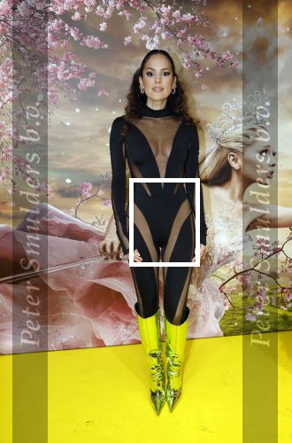 Amsterdam 3 december 2024
Premiere Wicked in Tuschinski. Elize v d Horst