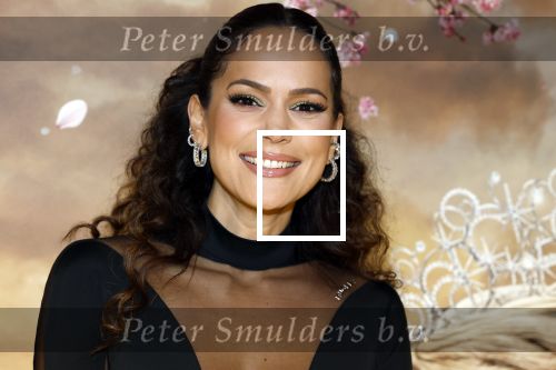 Amsterdam 3 december 2024
Premiere Wicked in Tuschinski. Elize v d Horst
