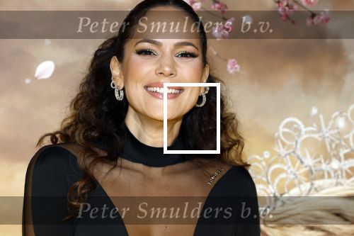 Amsterdam 3 december 2024
Premiere Wicked in Tuschinski. Elize v d Horst