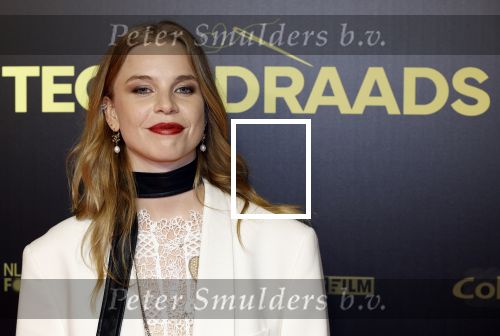 Amsterdam 4 november 2024
Premiere tegendraads in Tuschinski . Emma Josten
