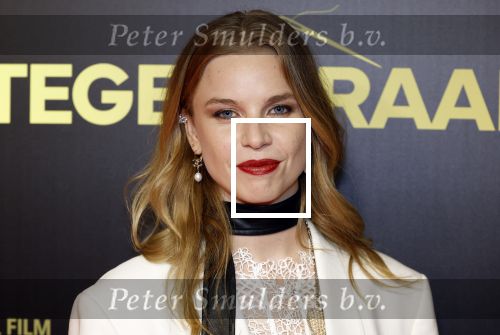 Amsterdam 4 november 2024
Premiere tegendraads in Tuschinski . Emma Josten