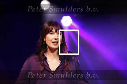 Hilversum 21 november 2024
Presentatie NPO Radio bij beeld en geluid . Emmely de Wilt